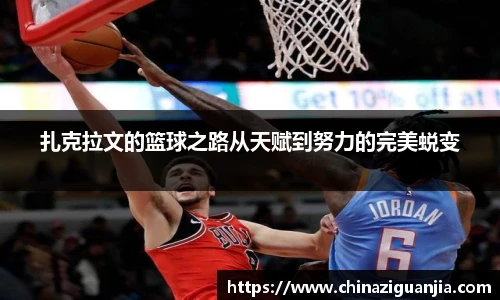 熊猫体育官网