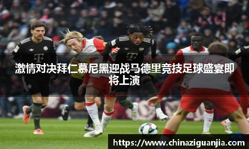 熊猫体育